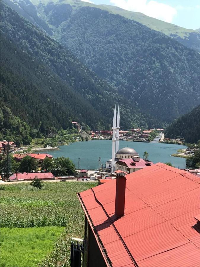 Karenes Kuzey Pansiyon Caykara Extérieur photo