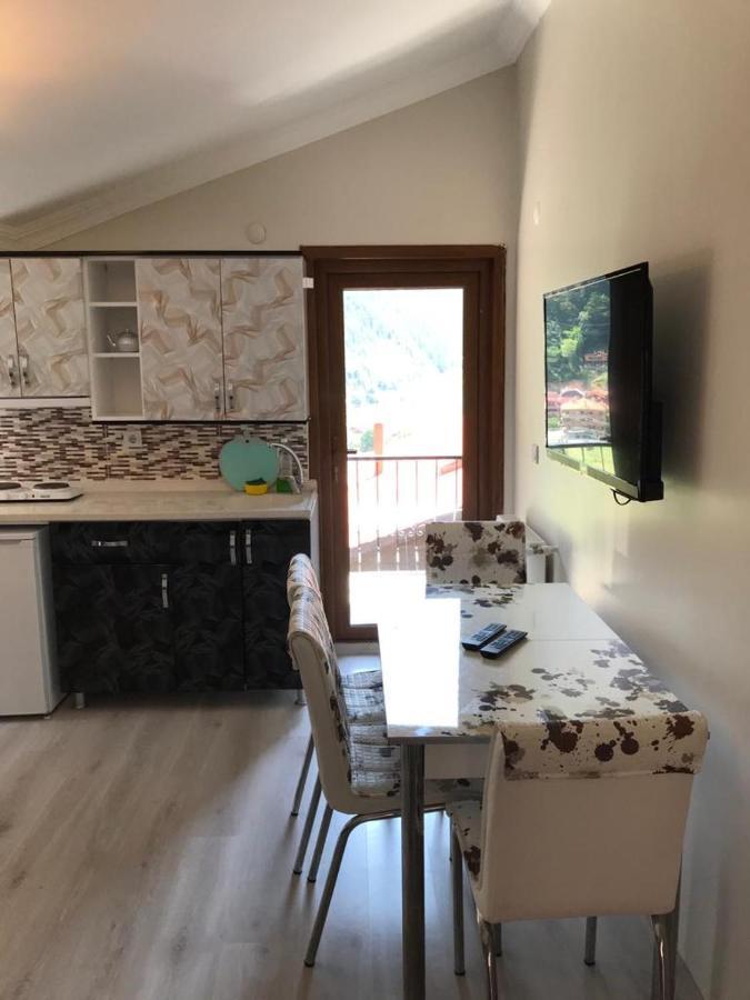 Karenes Kuzey Pansiyon Caykara Extérieur photo